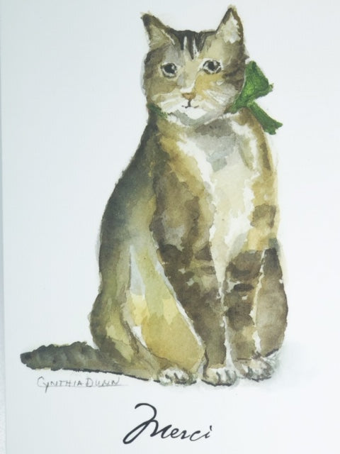 Cat Merci - box of 8