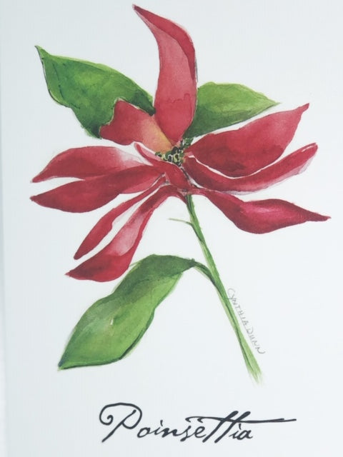 Poinsettia - box of 8