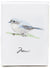 Bird Merci Note Cards - box of 8