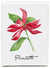 Poinsettia - box of 8