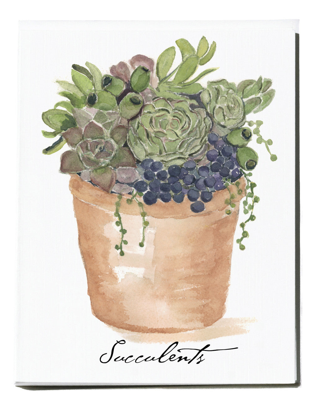 Succulent Note Card - Box of 8